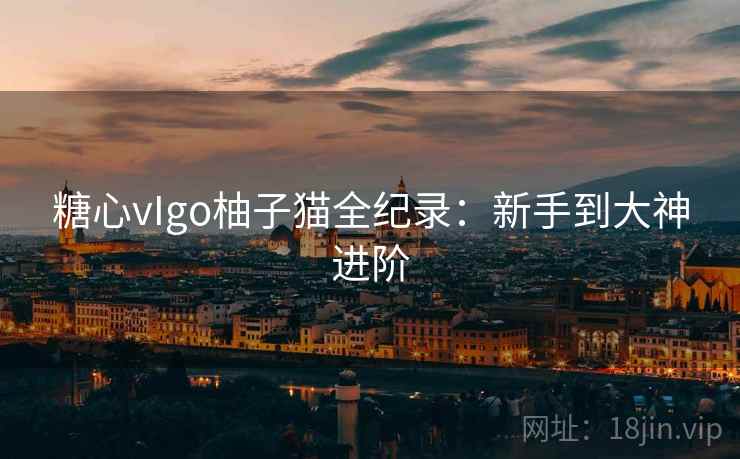 糖心vIgo柚子猫全纪录:新手到大神进阶